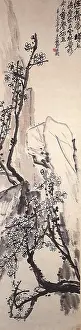 Plum: Plum Blossoms