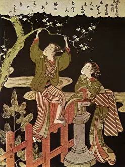 Plum: Plum Blossoms by the Riverside in February