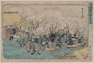 Kameido: Plum Estate, Kameido