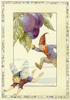 Plums: Plum Fairy
