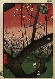 Plum: Plum Garden at Kameido