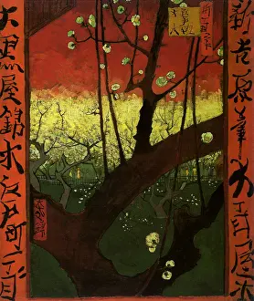 Plum: Plum Tree in Bloom, by Van Gogh, after Hiroshige