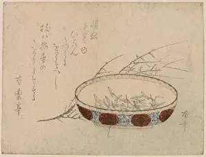 Sprouts: Plum and wild water lily