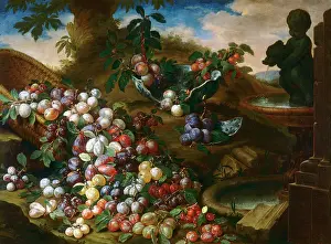 Morta: Plums: painted by Bartolomeo Bimbi