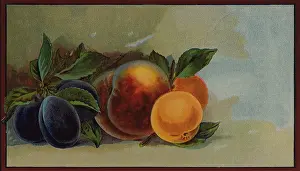 Ripe: Plums, Peach on Label
