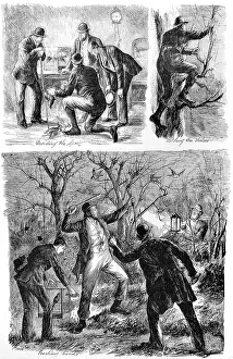 Poachers