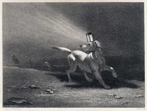 Decoy: POACHER'S DOG DECOY