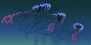 Cambrian: A pod of iridescent red and blue jellyfish