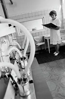 Diseases: Podlipki sanatorium