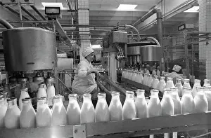Conveyer: Podolsk milk plant, 1978