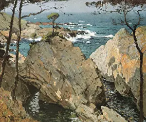 Craggy: The Poet's Cove