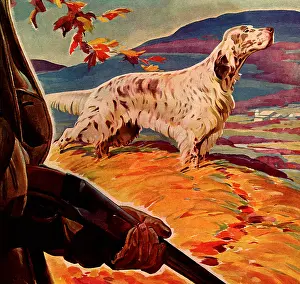 Catches: Pointer Catches Scent