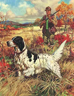 Emmett: Pointer and Hunter