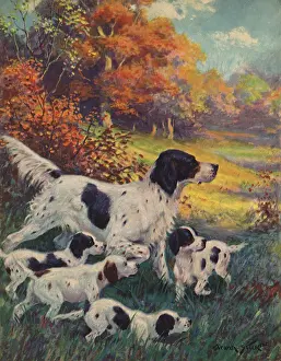 Assumed: Pointer and Pups