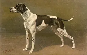 Poised: Pointer at the Ready