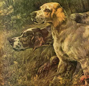 Setter: Pointer and Setter