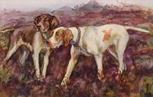 Pointers: Pointers