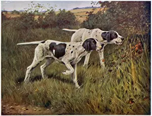 Nearest: Pointers