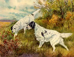 Sniffing: Two Pointers