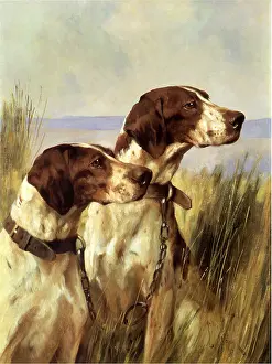 Wardle: Two Pointers