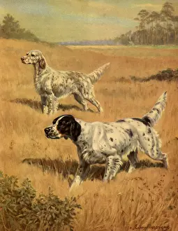 Pointers: Pointers in Field