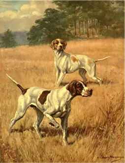 Stops: Two Pointers in a Field of Dry Grass