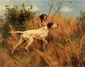 Tense: Pointers Hunting