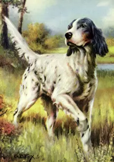 Poised: Poised for Action