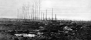 Langemarck: The Poisoning of Langemarck