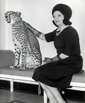 Vamp: Pola Negri