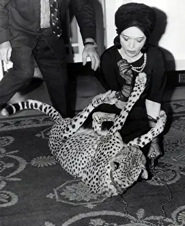 Vamp: Pola Negri