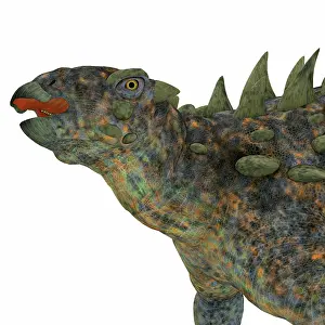 Ankylosaur: Polacanthus dinosaur head