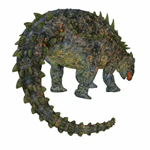 Ankylosaur: Polacanthus dinosaur, rear view of tail