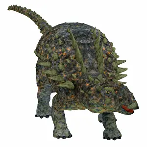 Ankylosaur: Polacanthus dinosaur on white background