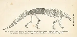 Foxii: Polacanthus foxii skeleton