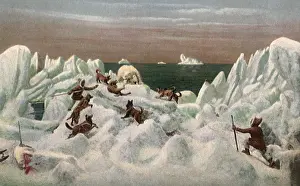 Cornered: Polar Bear Hunt