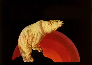 Borealis: Polar Bear Peak