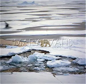 Floes: POLAR BEAR/SVALBARD