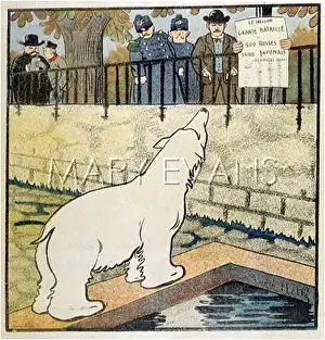 POLAR BEAR IN ZOO