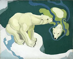 Swims: Two Polar bears