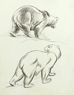 The Raymond Sheppard Collection: Polar bears