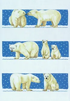 Margery: Polar Bears in Rows ? with falling snow