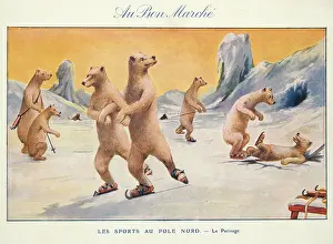 Retrograph: Polar bears skating at the North Pole
