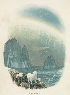 Borealis: POLAR SKY WITH BEARS