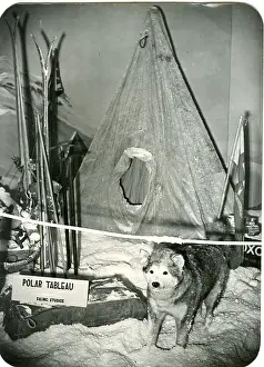 Tableau: Polar tableau, RSS Discovery Exhibition