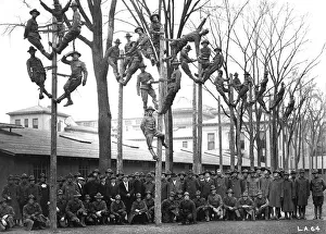 Rotc: Pole-Climbing training for Students Army Training