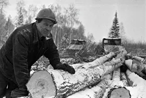 Logging: Polevskles Wood Industry Association