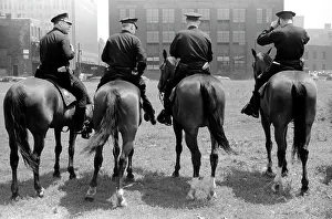 Caucasian Ethnicity: Police - cops - occupations - horses - Chicago