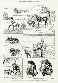 Detecting: Police Detective Bloodhounds