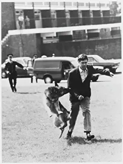 Simulation: POLICE DOG HANDLER